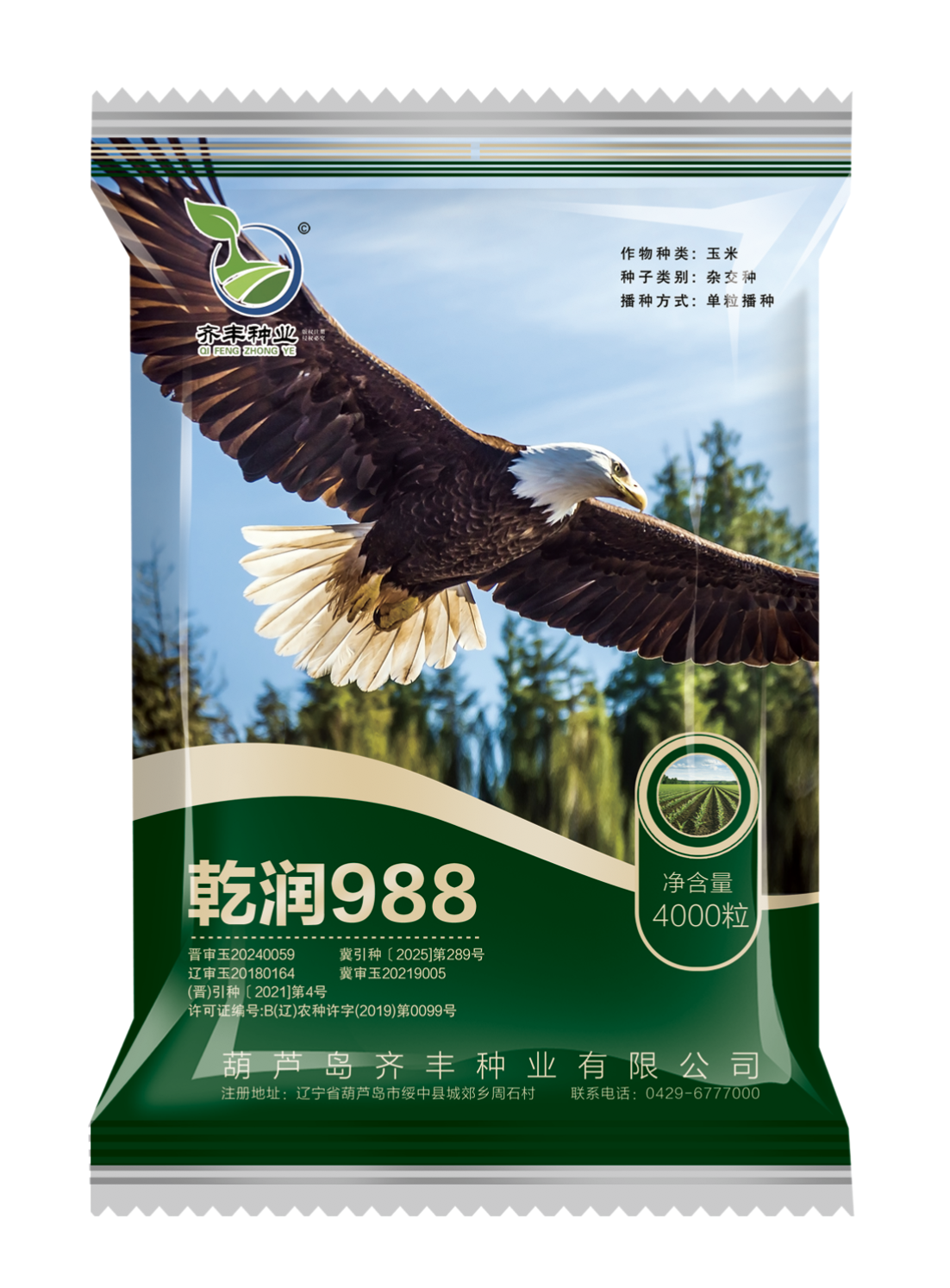 乾潤988（夏播）